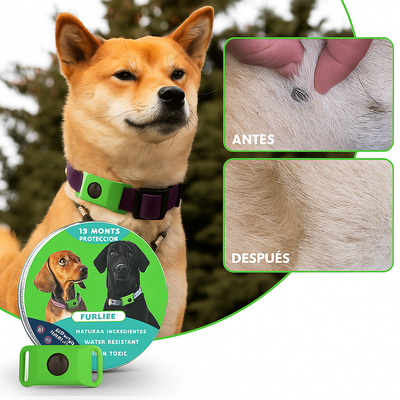FurLife Lumalia™