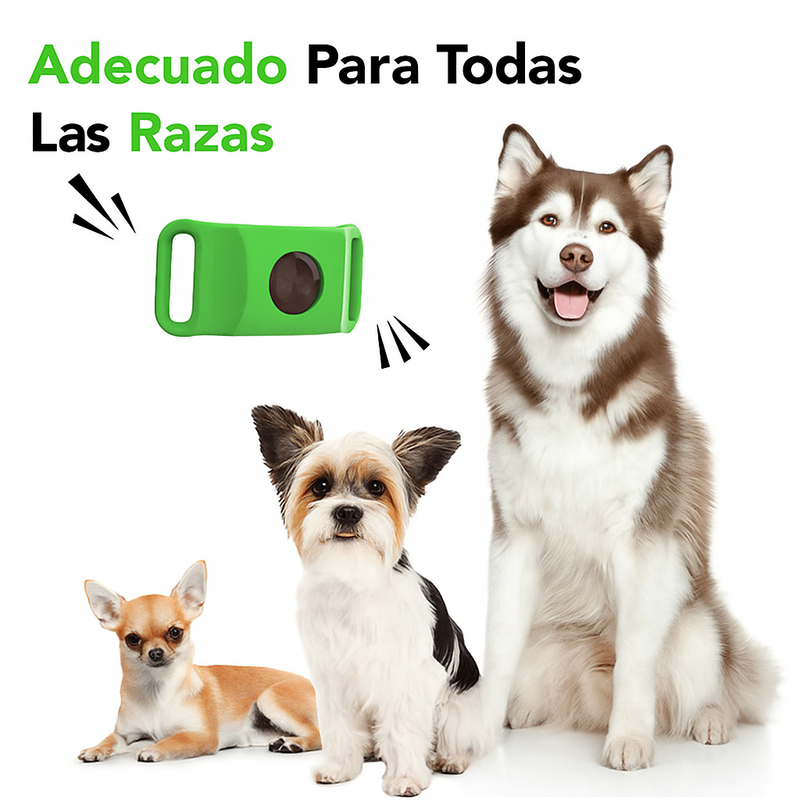 La solución más
