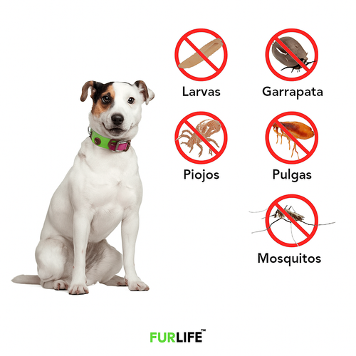 FurLife Lumalia™