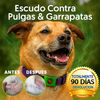 FurLife Lumalia™