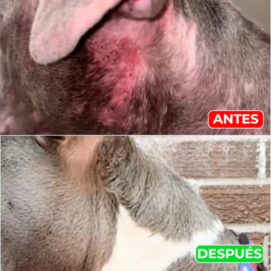 Petskin Lumalia
