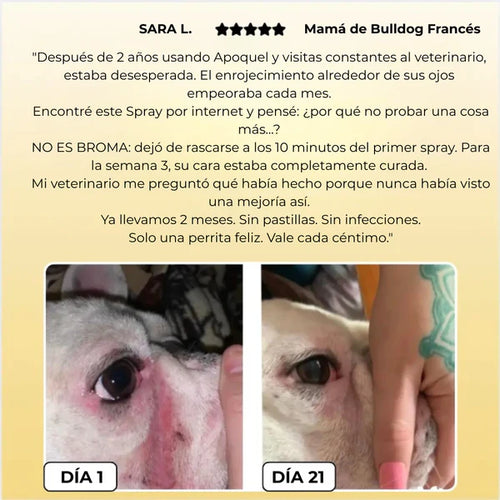 Petskin Lumalia