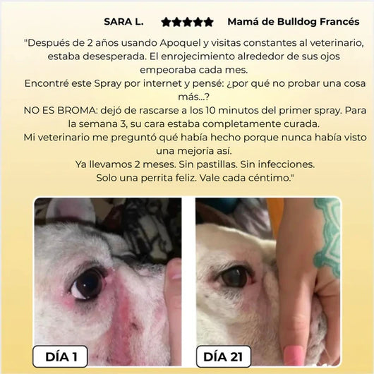 Petskin Lumalia