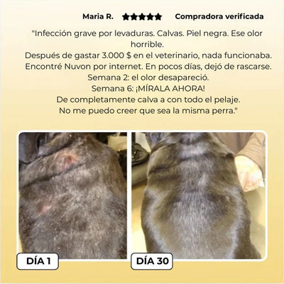 Petskin Lumalia
