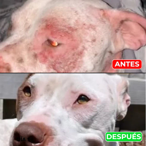 Petskin Lumalia